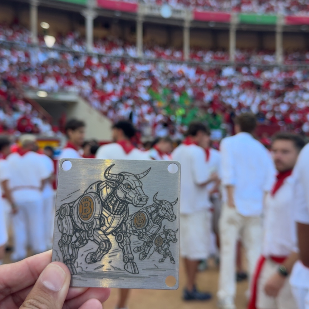 Running with the Bulls Seed Plate