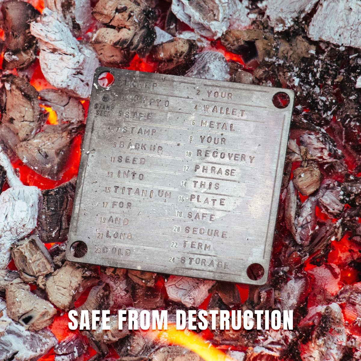 Titanium Seed Plate, 24-word